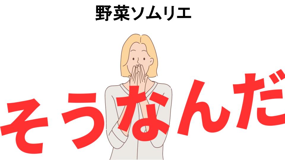 意味ないと思う人におすすめ！野菜ソムリエの代わり